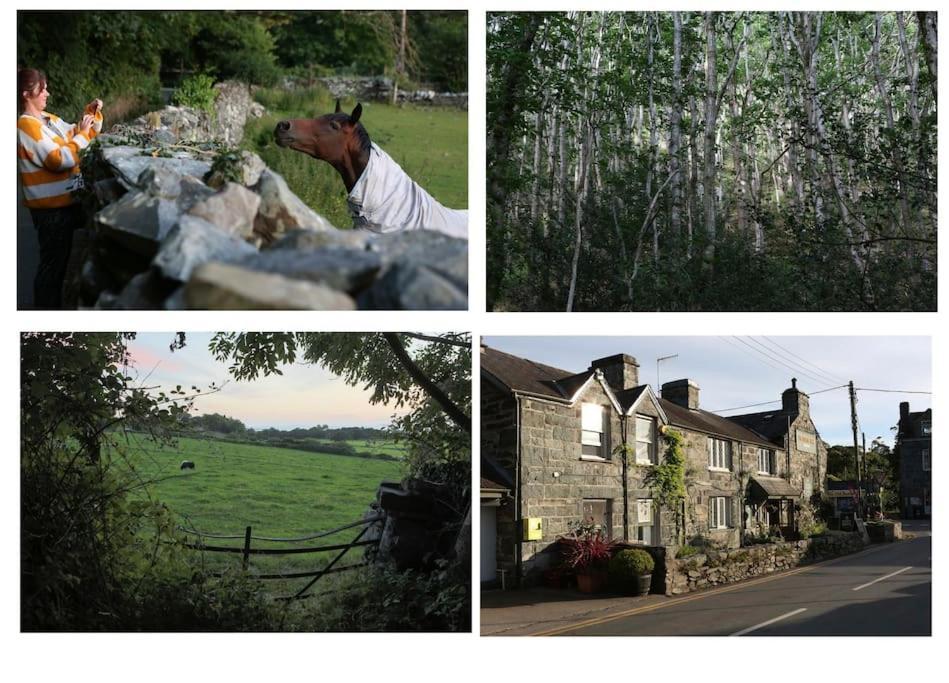 Pant Golau - The Seventies House Llanbedr (Gwynedd)